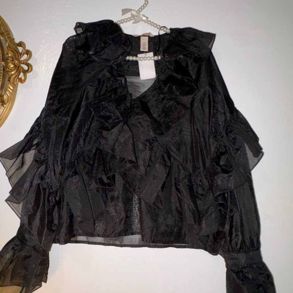 H&M  Black Sheer Ruffle Blouse